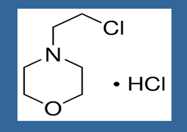 2-Chloro Ethyl Morpholine Hydrochloride